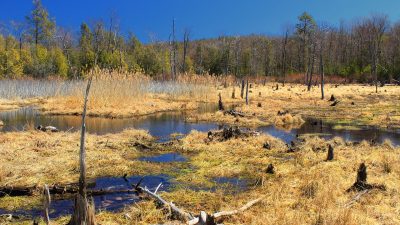 Headwaters (1) (13681432663)