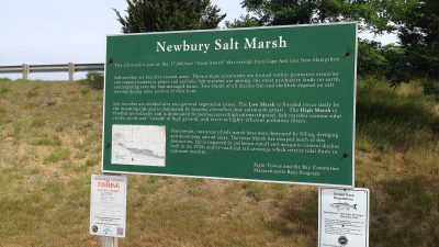 Newbury Salt Marsh (14625806444)